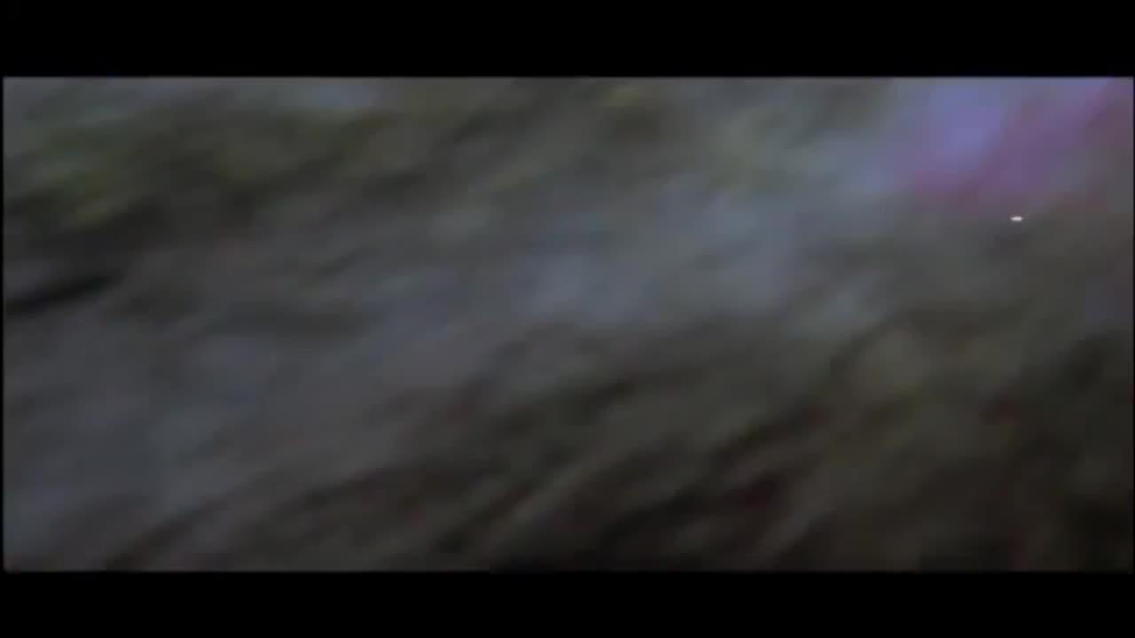 Les dents de la mer 2