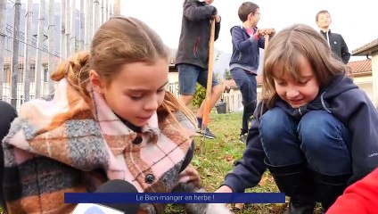 Reportage - Le Bien-manger en Herbe !