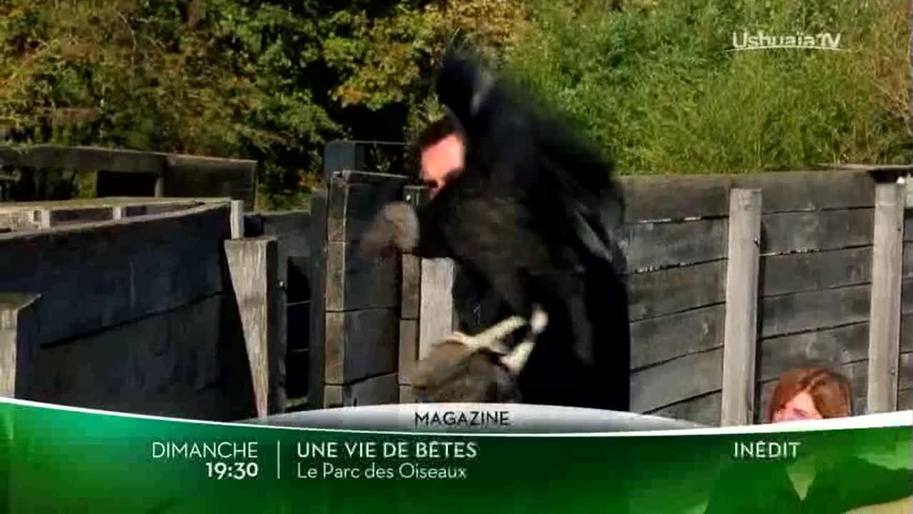 Une vie de bêtes