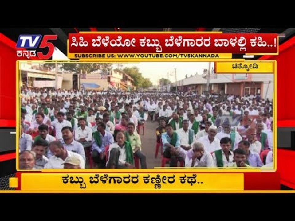ಕಬ್ಬು ಬೆಳೆಗಾರರ ಕಣ್ಣೀರ ಕಥೆ | Chikodi | TV5 Kannada