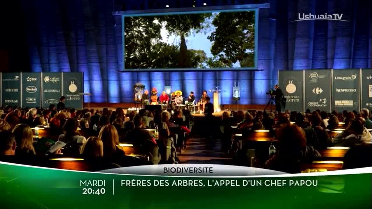 Frères des arbres