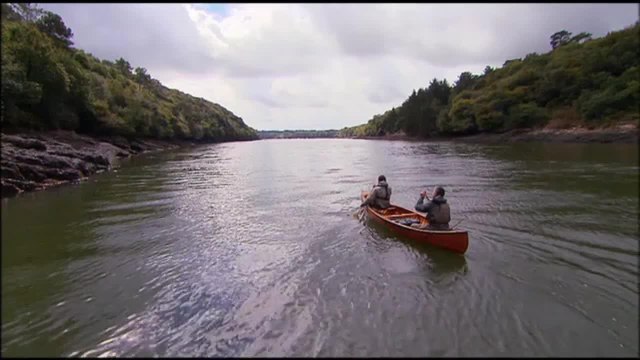Des racines et des ailes