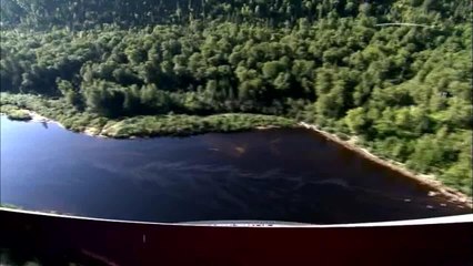 Quatre saisons au zoo de Montréal