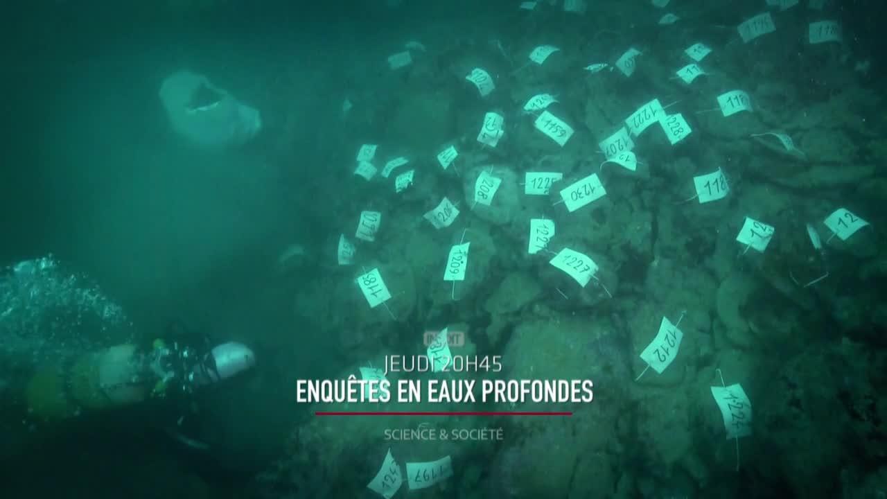Enquêtes en eaux profondes