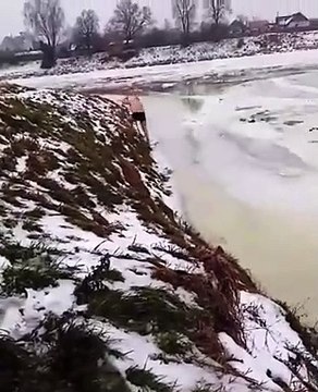 Il saute dans un lac gelé pour sauver un chien