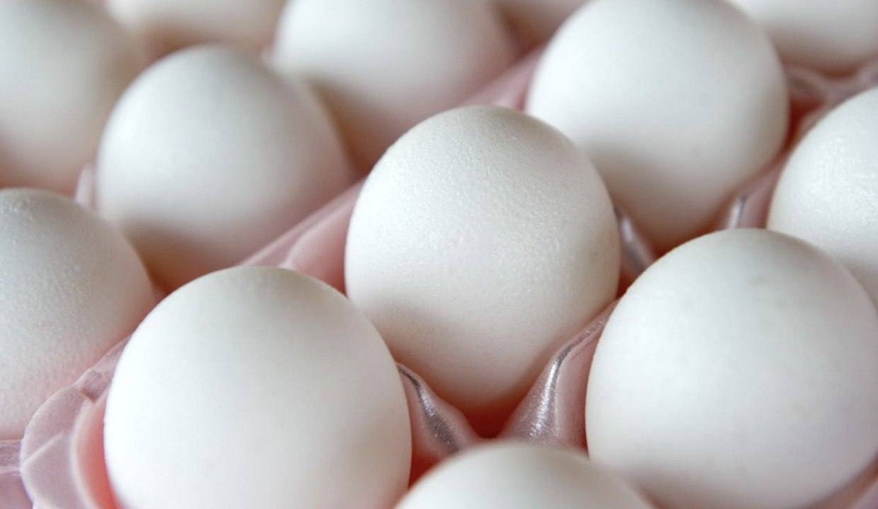 Does Cooking Kill Salmonella?