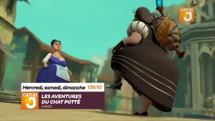 Les aventures du Chat Potté