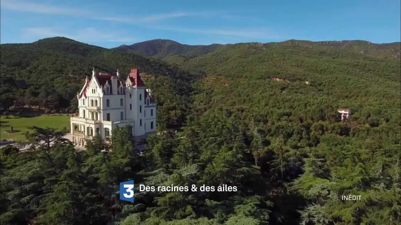 Des racines et des ailes