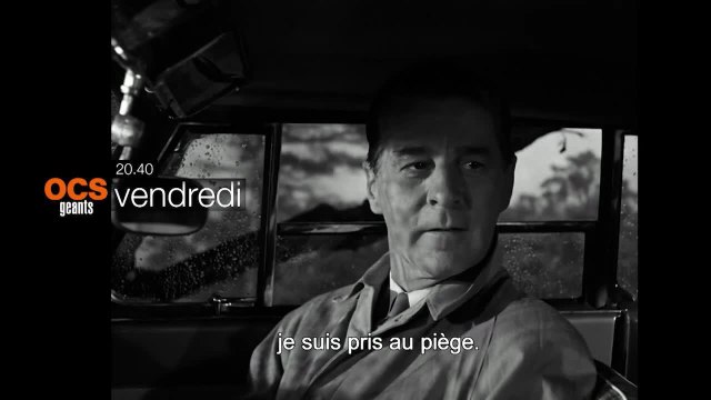 Les fraises sauvages