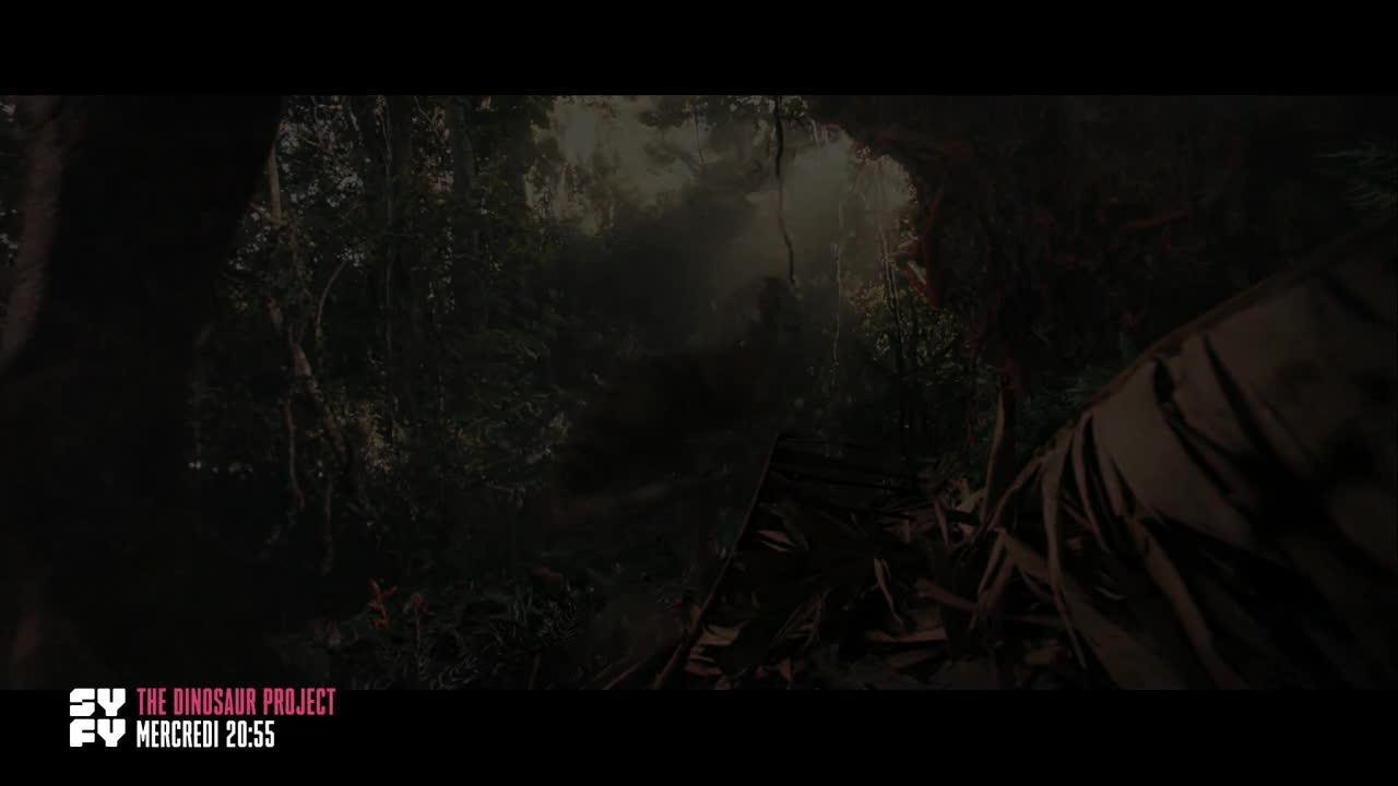 The Dinosaur Project