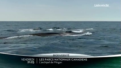 Les parcs nationaux canadiens