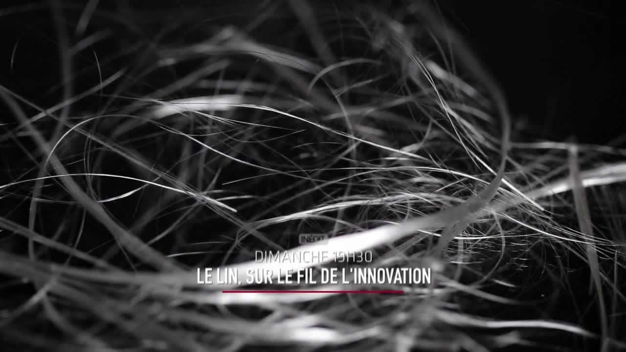 Le lin, sur le fil de l'innovation