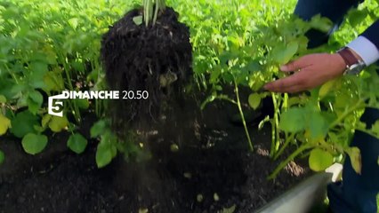 Toits de Paris des jardins extraordinaires - 26 novembre