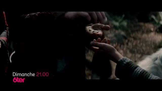 Into the Woods : promenons-nous dans les bois