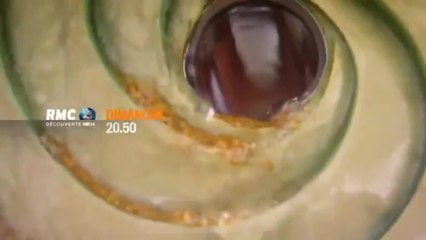 Yukon Gold : l'or à tout prix