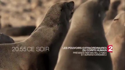 Les pouvoirs extraordinaires du corps humain