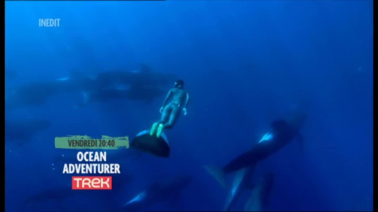 Ocean Adventurer