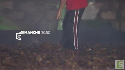 Noix de coco : le fruit du paradis ?