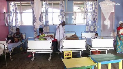 Кровавый сок поможет спастись от комаров