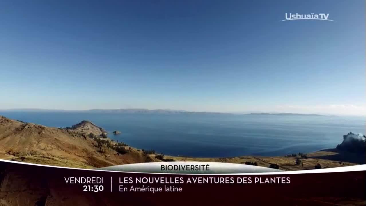 Les nouvelles aventures des plantes