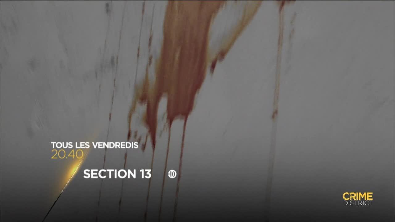 Section 13