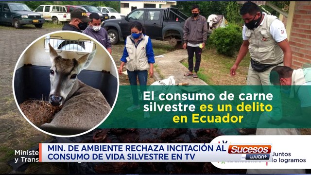 Microinformativo Sucesos WuanPlus | Enero 5 - 2022