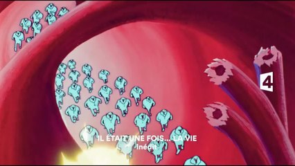 Il était une fois... la vie