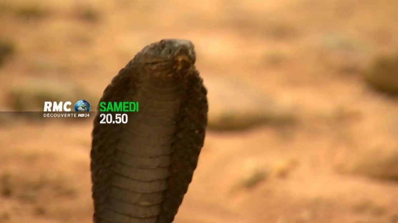 Man vs Wild : seul face à la nature