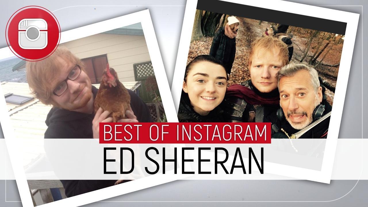 Ses chats, les concerts et ses amis stars... Le best of Instagram d'Ed Sheeran