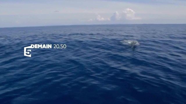 Echappées belles - 23 septembre