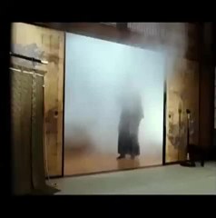 Inju, la bête dans l'ombre