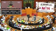 Urgent : Assemblée Nationale déclare irrecevable la proportion de loi sur l’homosexualité