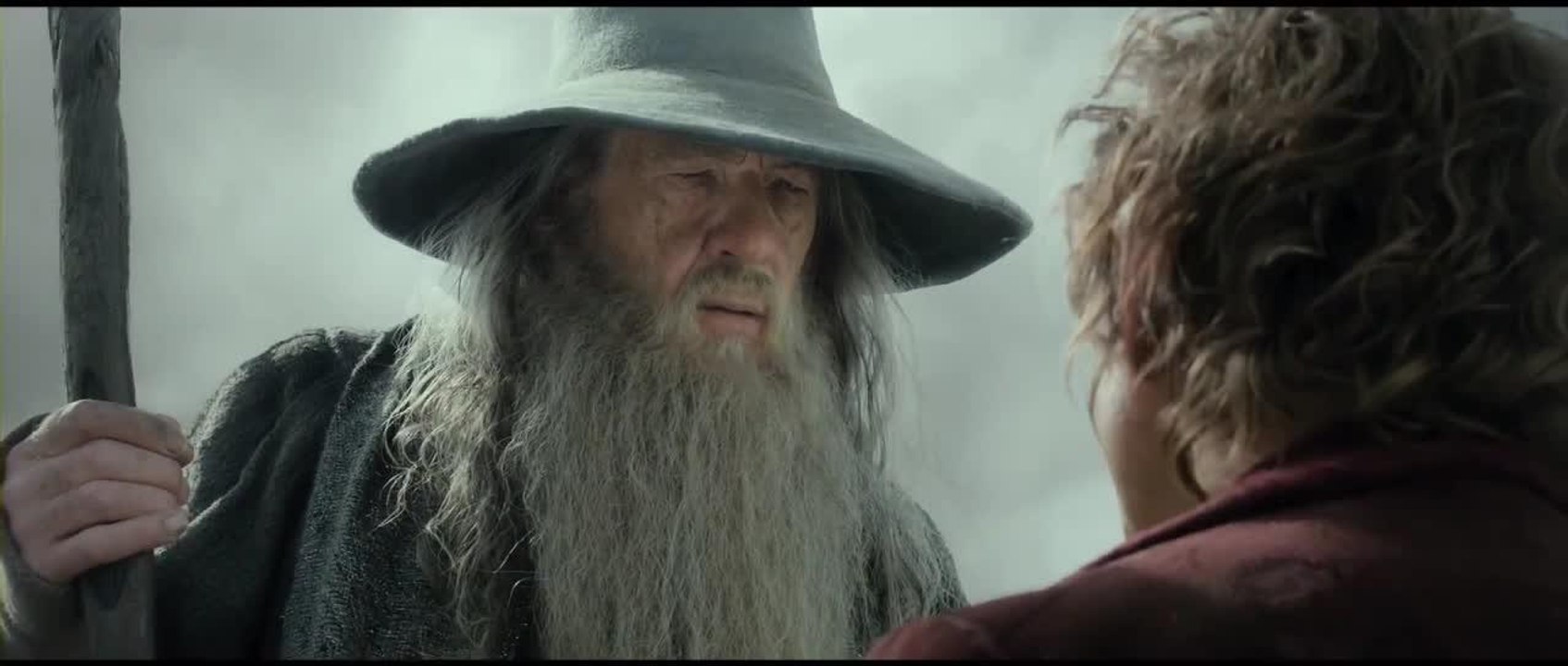 Le Hobbit : la désolation de Smaug