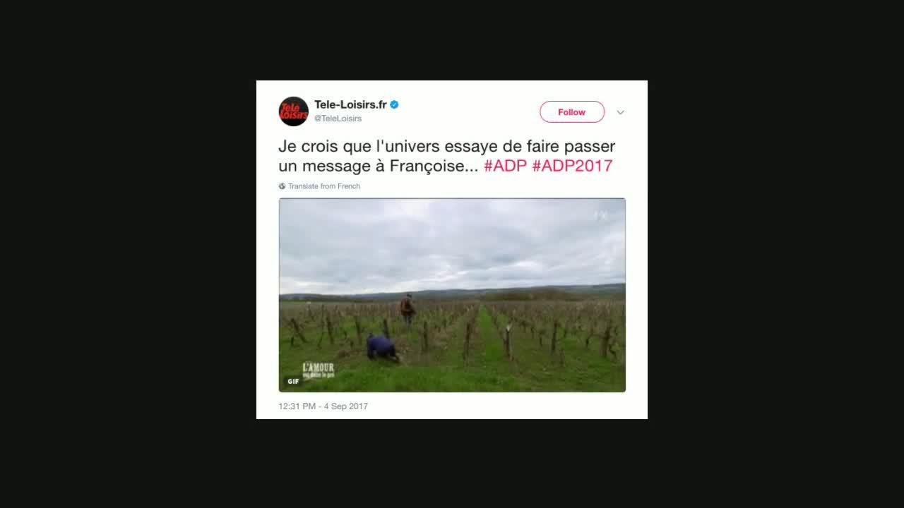 L'amour est dans le pré : la chute de Françoise fait beaucoup rire les internautes