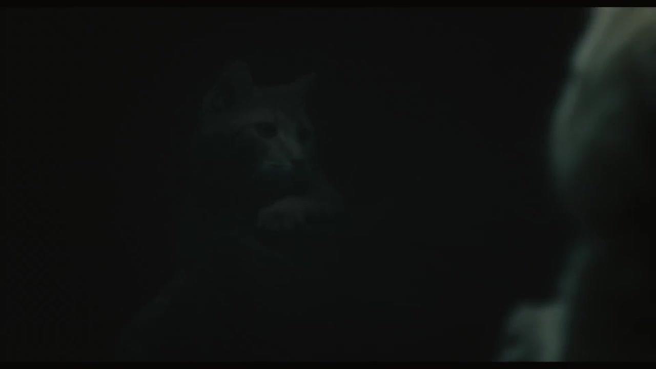 Inside Llewyn Davis