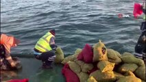 Bayrampaşa Hali'nde 5 ton kaçak midye ele geçirildi: Canlı midyeler denize bırakıldı