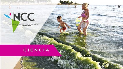 El fósforo, un gran contaminante de las aguas de Uruguay