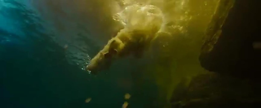 Pirates des Caraïbes : la fontaine de jouvence