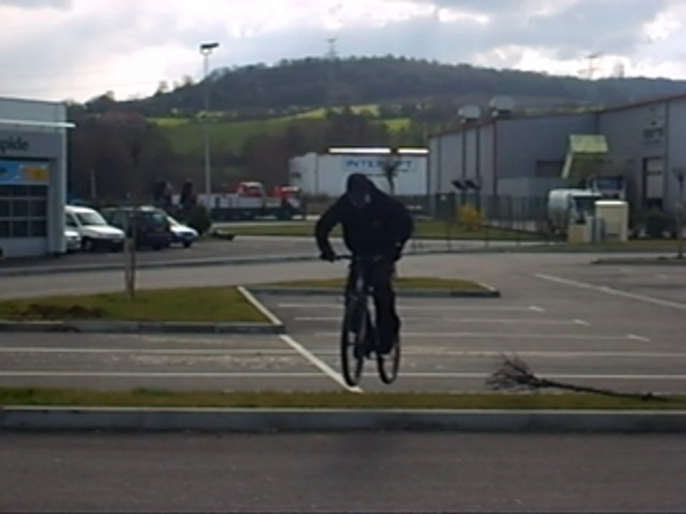 Ollie 3