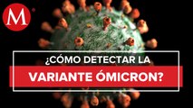 ¿Pruebas en antígeno detectan Ómicron? Entrevista con viróloga de la UNAM