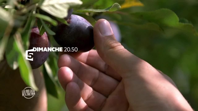 Les 100 lieux qu’il faut voir - 27 aout