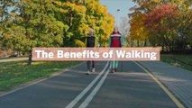 The Benefits of Walking, Plus 3 Workout Plans to Get You Going