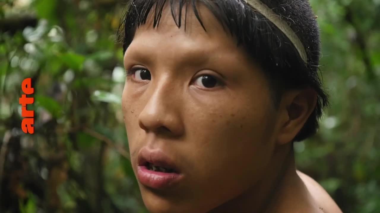 Les paradis perdus d'Amazonie - 22 juillet
