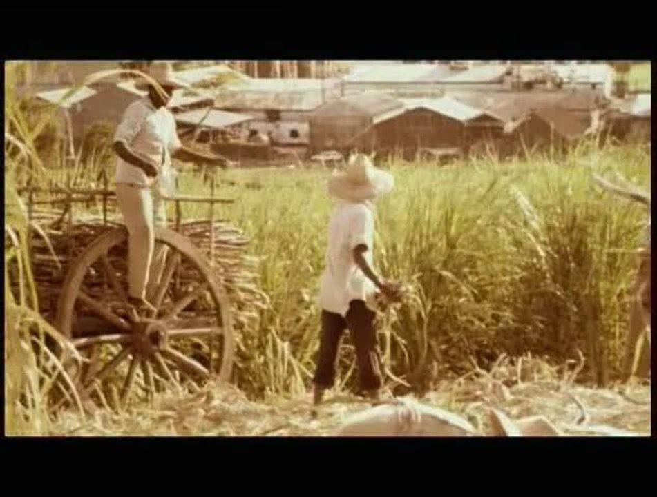 Rue Cases Nègres - 26 juin