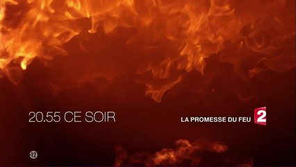 Stupéfiant - 22 mai