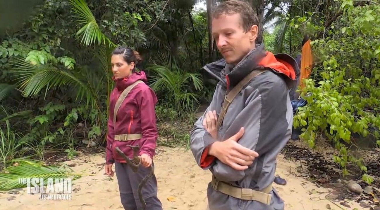 The Island 3 : à trop manger de noix de coco, les aventuriers tombent malade