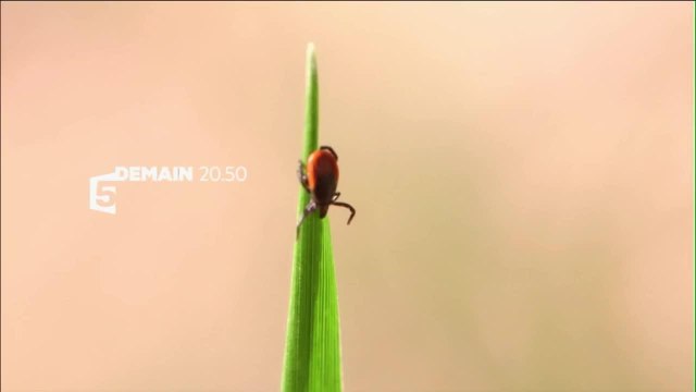 Enquête de santé - 30 mai