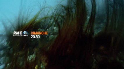 Alaska : de l'or sous la mer - 30 avril