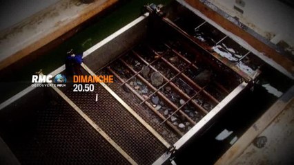 Alaska or sous la mer - 16 avril