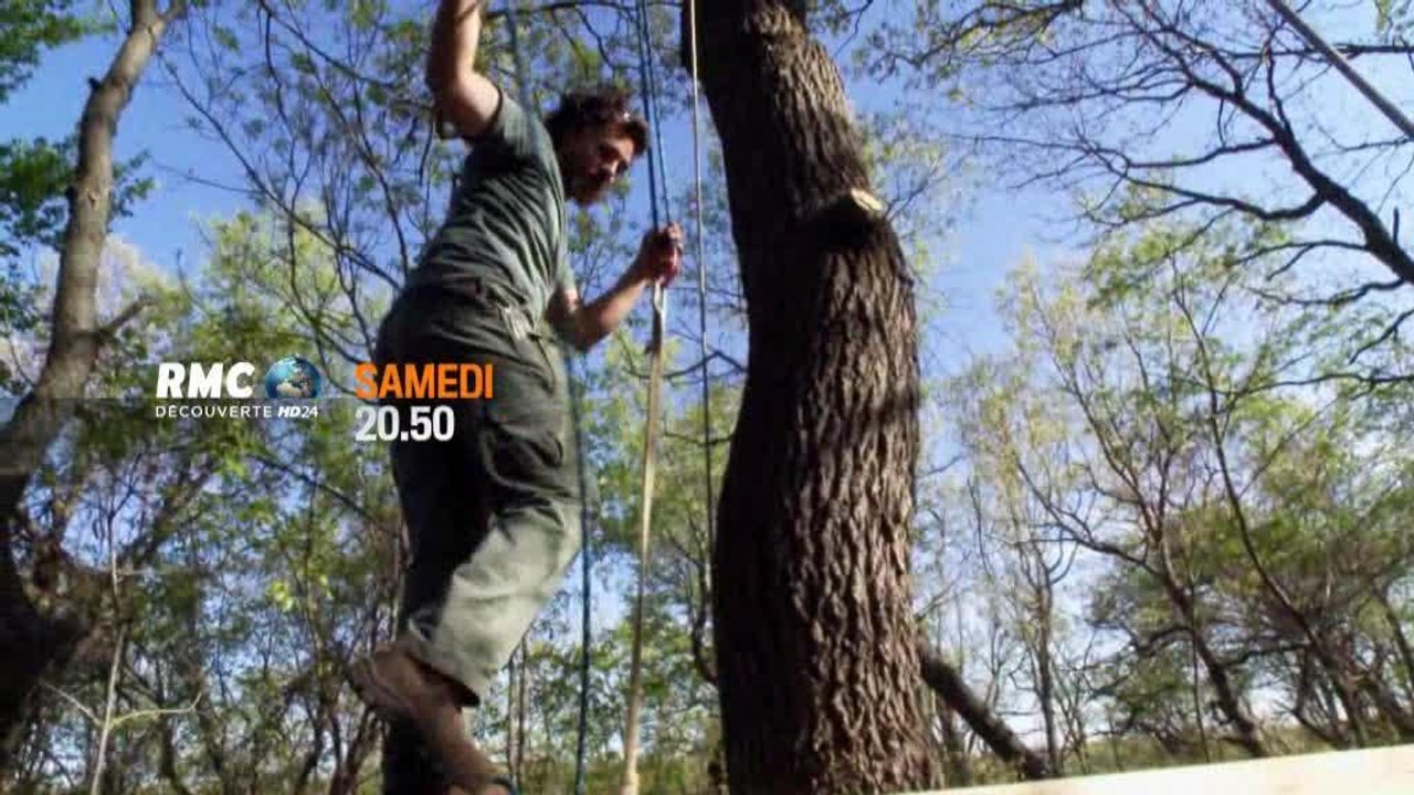 Cabanes perchées - 22 avril